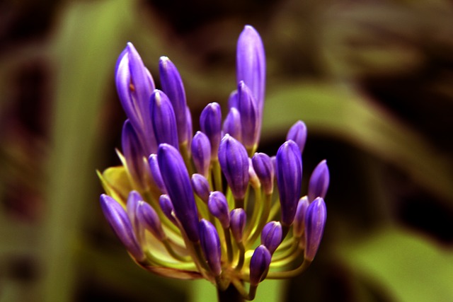 明日步行者战国王伤病：内史密斯、谢泼德等6人继续缺席