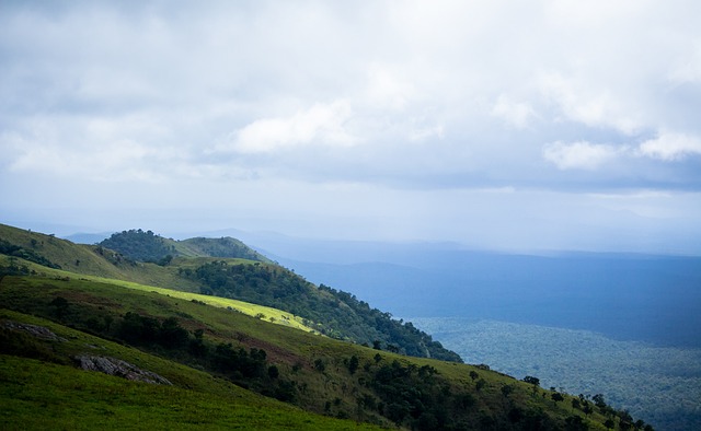 为何贝西洛维奇突然下课？媒曝已对球队失控，疑似遭球员逼宫